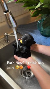 495K views · 426 reactions | Water is like a warm blanket for a lab...