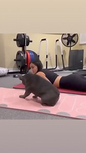 😂😍 French Bulldogs Updated List 💯 Click, View, & Call Us: https://www.frenchbulldog.com/pups-for-sale-near-me 🐶 | Texas French Bulldogs