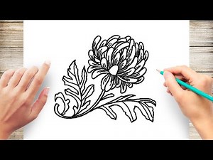 How To Draw Autumn Chrysanthemum Step by Step