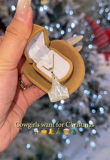 Shop the Latest Western Fashion Jewelry and Accessories