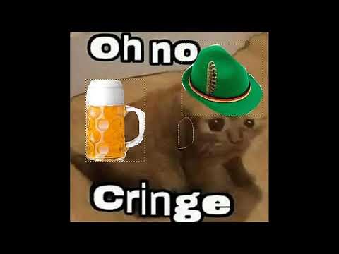 Oh no cringe cat but its german