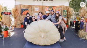 Giant pumpkin weighing over 1800 lbs stuns crowd and takes top prize