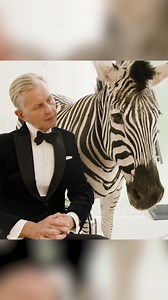 Wir wollten Ihnen gerne Zebra Mango vorstellen... Er ist der optische Hauptdarsteller rundum "Wer hat hier schlechte Laune", dem neuen Album von Max Raabe, das Sie über https://dg.lnk.to/MaxRaabe vorbestellen können. Übrigens: Die angesprochenen Fotos folgen im nächsten Post... | Max Raabe & Palast Orchester