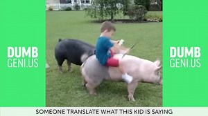 VINES精选悲剧傻缺视频集锦