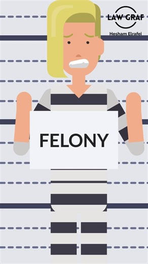 Felony Criminal Law
