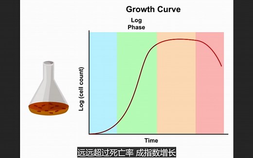 细菌生长曲线测定