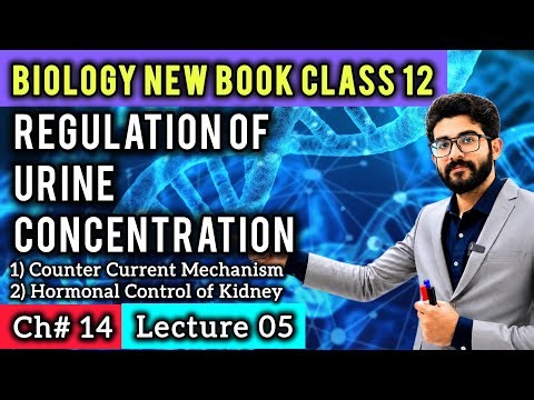 Regulation of Urine Concentration Class 12 | Counter Current Mechanism & Hormonal Control of Kidney
