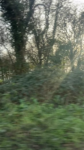 Well that whizzed by! Happy New Year Everyone 🥳 . We’re back and open and do we have news for you 🗞️ 📣 so itching to tell you 🤩 🤐 . We’re having a bit of a shake up and once the eyes are crossed and the t’s dotted we can let it all come tumbling out 😁 🤞 . One thing we can let on is that there are still a few spaces on our penultimate Intro to Sourdough on Jan 20th. You can book your spot in store or online 🥖 . Bring it on 2026 ✊ We look forward to seeing you all 😊✨ | The Appledore Baker