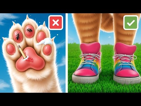 Back to School… But for PETS?! 🐶📚 Genius Hacks & Cute DIY Ideas for Smart Pet Owners by 123GO!