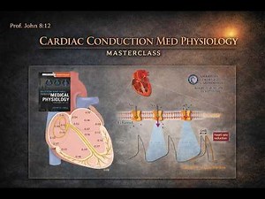 Cardiac Conduction System | Medical Physiology | USMLE Cardiology