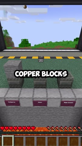 Minecraft block guessing game #shorts