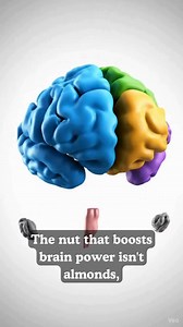 6.3K views · 93 reactions | 易 The Nut That BOOSTS Brain Power ISN'T...