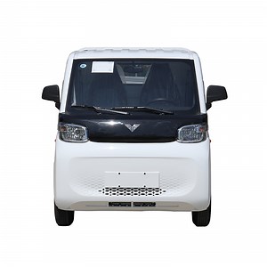 [Hot Item] an Electric Two-Seater Mini Pickup Truck with Automatic Transmission, Reach· Benevolence T10 Configuration Table