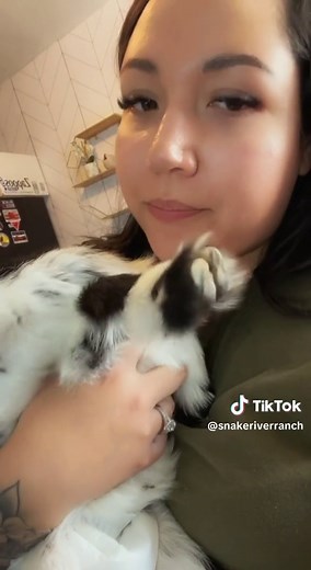 She’s a screamer, but she’s not the only one. #fyp #fypシ #babygoat #screaminggoat #fernthegoat