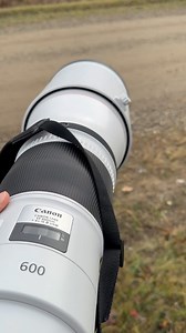 169K views · 465 reactions | Grumpy Juvenile owl 黎 #owl #greatgreyowl #owlsofinstagram #owls #behindthescenes #wildlifeofinstagram #wild_captures | Mark Bouldoukian Photography | Facebook