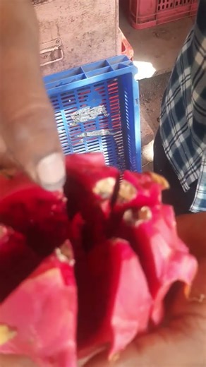 Dragon food, or dragon fruit, offers benefits like boosting the immune system #fruit