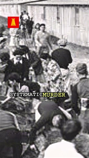 Witness Elimination: The Camp's Final, Deadly Operations #shorts