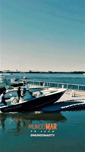 Pierplas plays on another level.