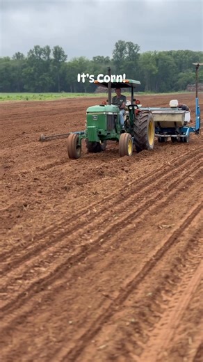 18K views · 393 reactions | Got our Popcorn and Indian Corn in the ground yesterday! Btw that’s our owner and operator Mr. Burt still getting it done at the ripe age of 76. He and Mrs. Burt still work on the farm every day, as they say age is just a number. Let’s show Mr. Burt some love with a like and a share. Thanks again guys and stay tuned to see our pumpkin planting process very soon. | Burt's Pumpkin Farm | Facebook