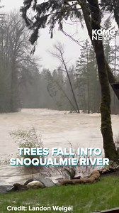 662K views · 10K reactions | KOMO News viewer Landon Weigel captured video of these trees falling into the north fork of the Snoqualmie River this week. You can share your content with us at komonews.com/chimein. #wawx #komonews #komo4 #severeweather | KOMO News | Facebook