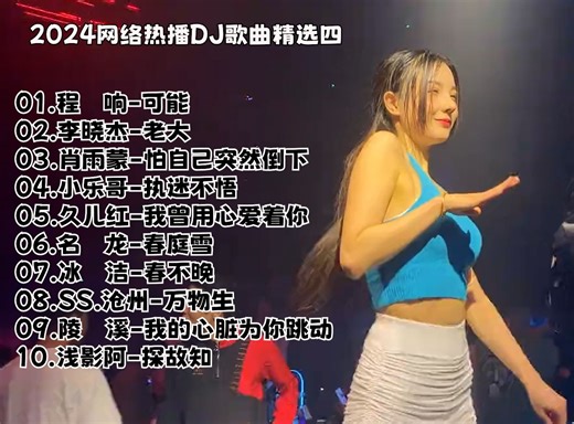 2024网络热播DJ歌曲精选四《可能》《老大》《怕自己突然倒下》等十首，WAV无损音质