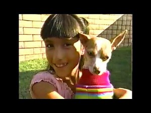 Disney Channel Cool Pets Commercial