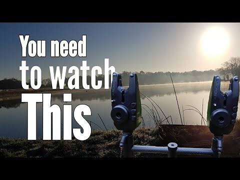 Fox mini micron x bite alarms no nonsense honest review.