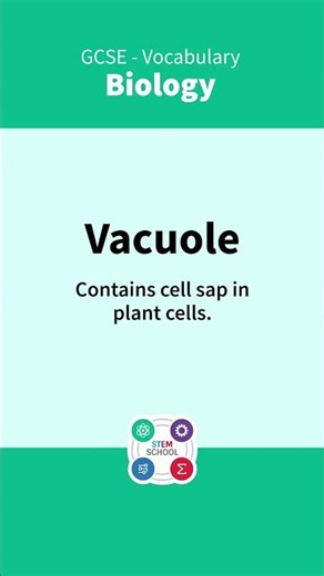GCSE Biology Vocabulary - 11. #exam #edexcel #biology #aqa #ocr #gcse #gcsebiology