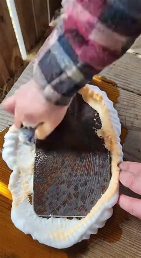 Century Old Draw Hoe Blade Rust Restoration 🔧