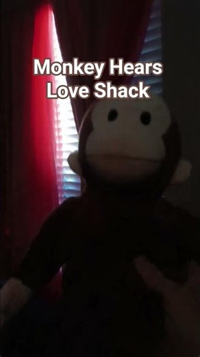 MONKEY Hears Love Shack