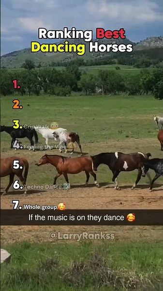 Ranking Best Dancing Horses
