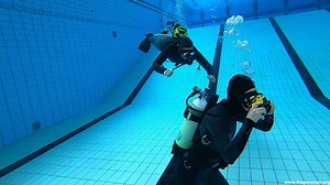 Project F - Videos - Frogwoman Org