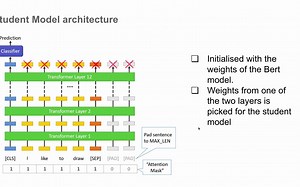 深度学习中的知识蒸馏 - DistilBERT 解释