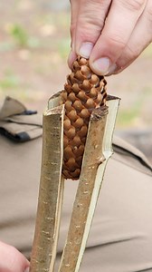 1M views · 550 reactions | Tree Hacks You Should Know | Science, Tech and Universe | Facebook