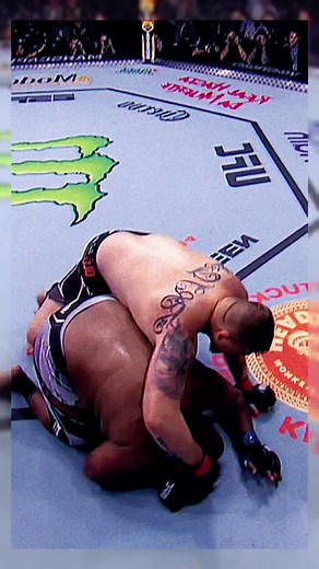 green rice field on TikTok