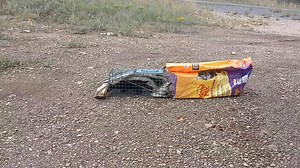 Andrea Fernandez on Reels