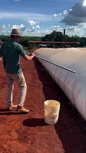 Brazil & Argentina: Warehouse-Free Grain Storage