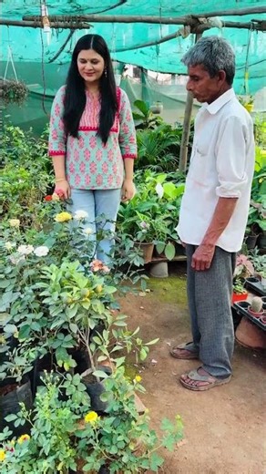 Nursery wale secret finally mil gaya 😄🌸Power Petal = more blooms 💧💚Comment “LINK” 👇