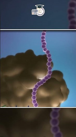 Understanding Reverse Transcriptase: The Enzyme That Converts RNA to DNA I StudyIQ IAS Hindi