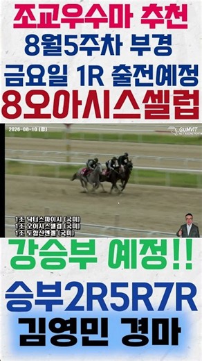Keep an eye on Oasis Celeb, set to run in Friday's 1st race at Busan-Gyeongnam in the 5th week of...