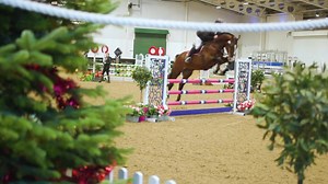 4.6K views · 103 reactions | Day 2️⃣ at the Young Horse Show…. & we are still jumping! ⏰ Here are the highlights from today’s busy classes and despite the wintery weather, there are still lots of smiles! Harry Sykes Equine Videographyy | Aintree International Equestrian Centre | Facebook
