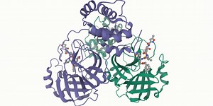 The coronavirus pandemic turned Folding@Home into an exaFLOP supercomputer