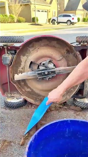 How to clean this machine? ( 🎥@Teliteturfcare )
