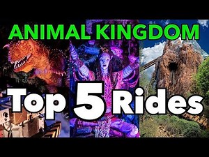 Top 5 Animal Kingdom Rides