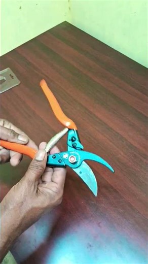 Best Scissor Cutter for Gardening and Farming
