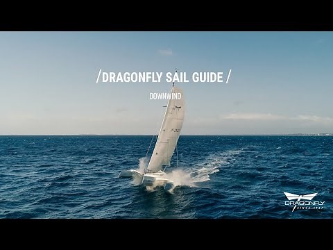 Dragonfly Sail Guide - Downwind