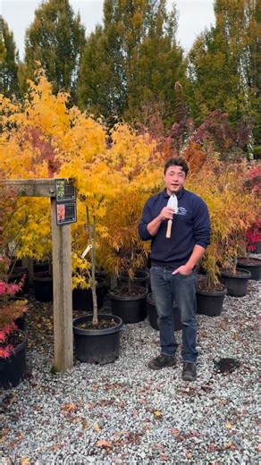 Come along with Corey as he shares his top picks for plants that keep your garden looking great all winter long! 🪏 | Cedar Rim Nursery