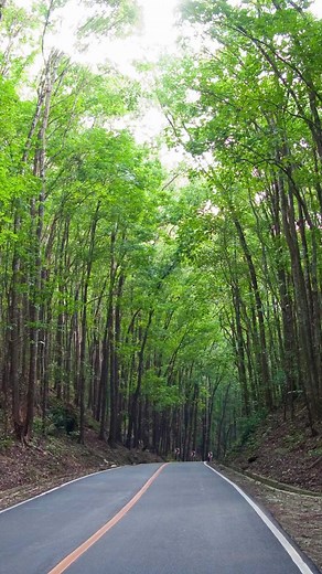 Today's map shows the most common family names in the towns of the province of Bohol. Here are some facts about Bohol’s surnames:1) Bohol has 114,553 unique surnames;2) All letters are represented in the surnames of Bohol, including the Spanish letter Ñ;3) More than 38% of Bohol's surnames start with the letters B, C, A, and M, with B and C having 10.7% and 10.2% each, respectively;4) The letters with the least number of surnames starting with them are W and Z at just 0.2% each;5) Tagbilaran Cit