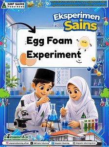 Exciting Egg Foam Experiment for Beginners