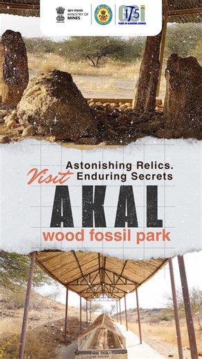 Akal Fossil wood Park in Rajasthan preserves the petrified remains of ancient trees from the Jurassic era—offering a timeless glimpse into India’s prehistoric past. A must-visit for every geology and nature enthusiast! #GeoHeritage #FossilPark #AkalFossilPark #JurassicIndia | Geological Survey of India